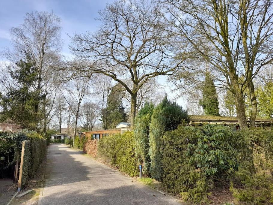 Gezellig Ingerichte Blokhut Op Een Rustig Park! 皮滕 外观 照片