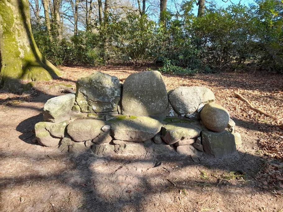 Gezellig Ingerichte Blokhut Op Een Rustig Park! 皮滕 外观 照片